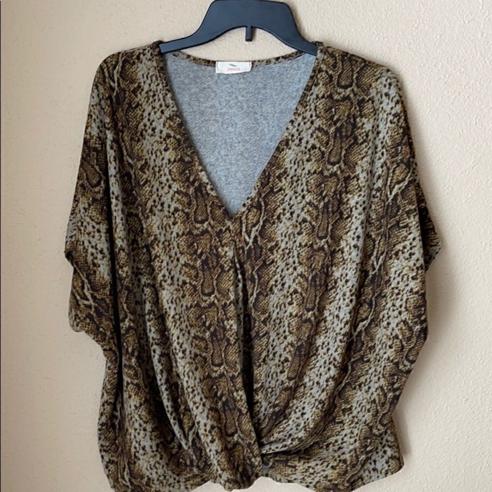 ❤️Hummingbird Snake Print Oversized Blouse